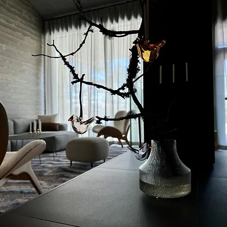 Snowbird Levi, Arctic Nook דירה