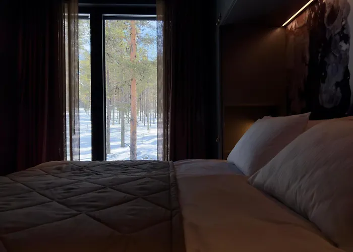 Snowbird Levi, Arctic Nook 레비