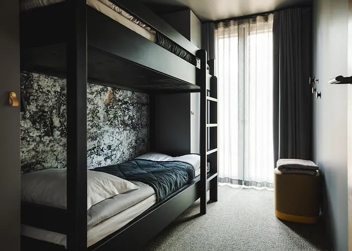 Snowbird Levi, Arctic Nook * 레비